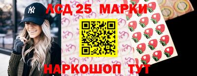 дмт Камышлов