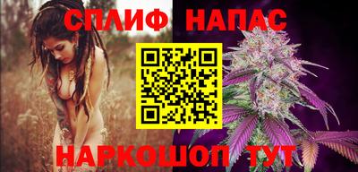 дмт Камышлов