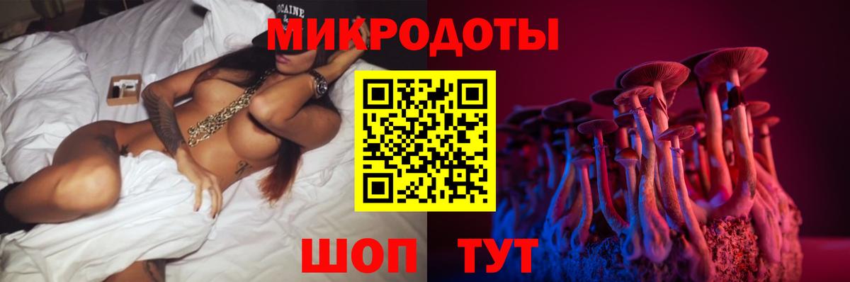 Псилоцибиновые грибы мицелий Горячий Ключ